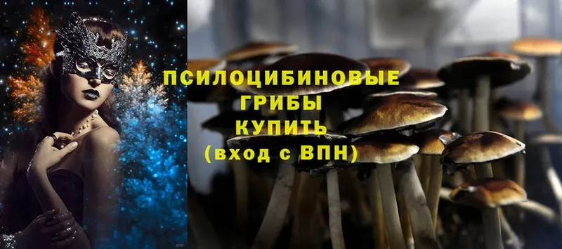 Галлюциногенные грибы Magic Shrooms  Лысьва 